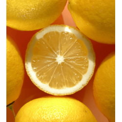 Witway Sport+ Lemon
