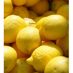 Power Drink Sport Lemon